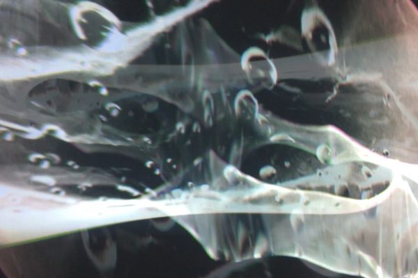 montage 02.00_03_22_19.Still020
