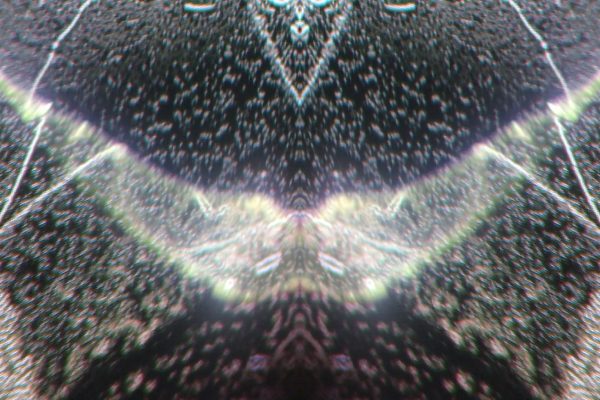 montage 02.00_05_48_21.Still035