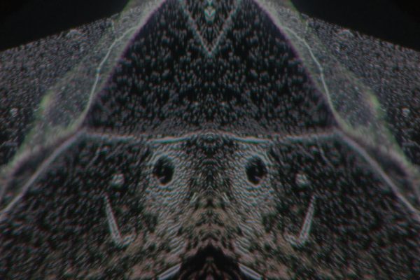 montage 02.00_06_07_16.Still037