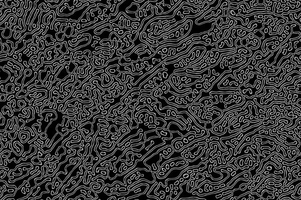 2020.03.31 BodyFraction (sound).00_04_00_11.Still002