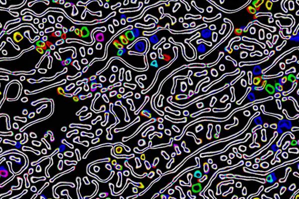 colorful-nested-sequence